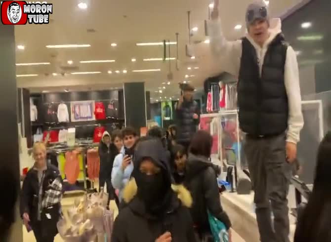 Video :A shop is disrupted by Mizzy, the dog thief